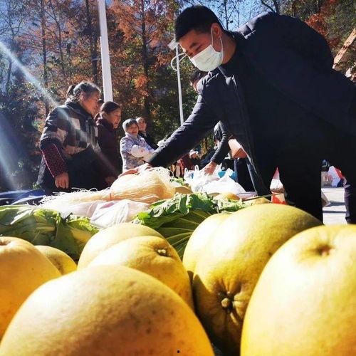 利川来凤吃瓜事件,一场网络热议背后的真相与反思