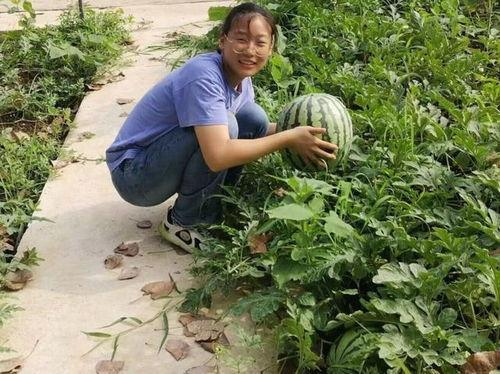 定远县吃瓜,探寻当地特色美食之旅