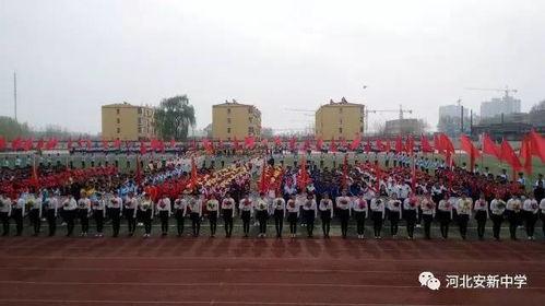 安新中学吃瓜,揭秘校园里的“瓜田”风云