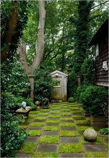 坐在院子吃瓜,共享瓜果之乐