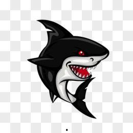 小鲨鱼吃瓜动漫,一场欢乐的动漫冒险之旅