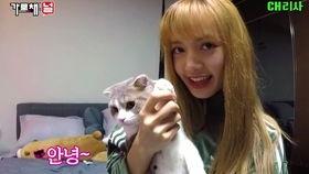 lisa吃瓜事件,揭秘娱乐圈背后的真相与争议