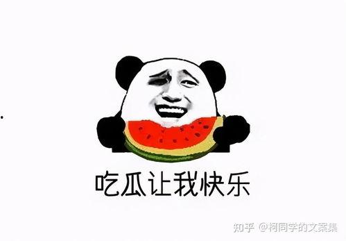 简短吃瓜文案搞笑,笑料横飞话娱乐圈