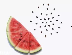 吃籽瓜吃的肚子胀,美味与健康的平衡之道