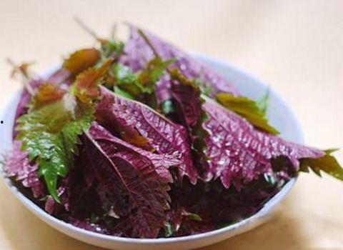 紫苏吃瓜故事结局