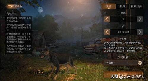 大神吃瓜明日之后,揭秘明日之后背后的精彩故事