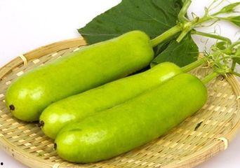 苦浦瓜可以吃吗,能否食用及营养价值解析